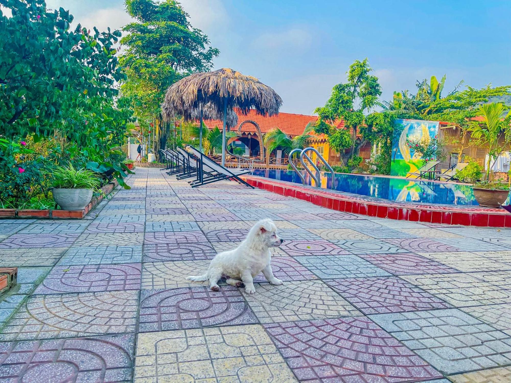 Trang An Quynh Trang Happy Homestay & Garden Ninh Binh Dış mekan fotoğraf