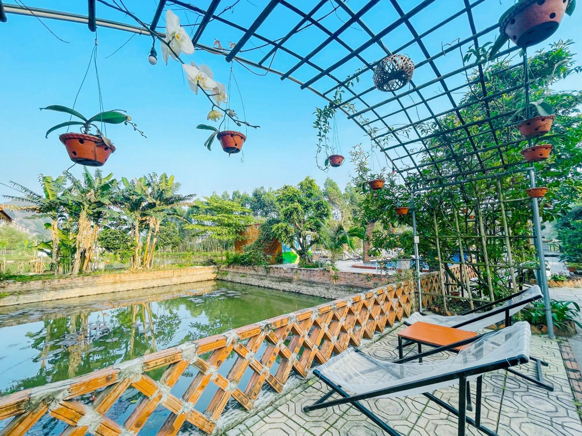 Trang An Quynh Trang Happy Homestay & Garden Ninh Binh Dış mekan fotoğraf